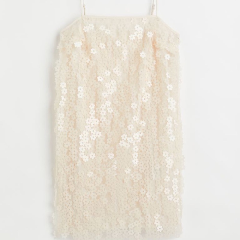 Sequin Embellished Slip Dress H&M